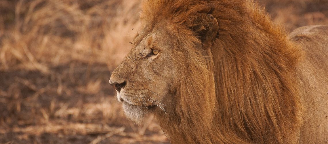 amar-yashlaha-sAGXVK6bNFc-unsplash